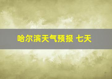 哈尔滨天气预报 七天